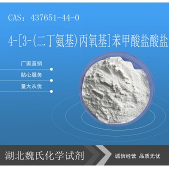 4-[3-(二丁氨基)丙氧基]苯甲酸盐酸盐—437651-4