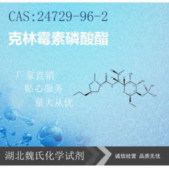 克林霉素磷酸酯—24729-96-2