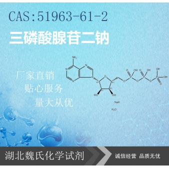 三磷酸腺苷二钠—51963-61-2
