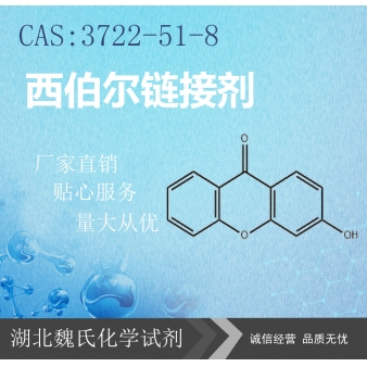西伯尔链接剂—3722-51-8