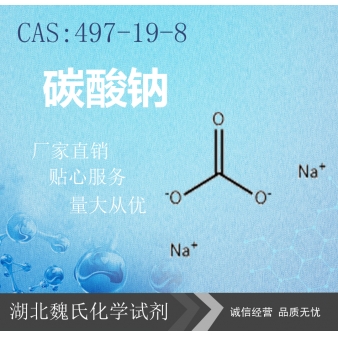 碳酸钠—497-19-8