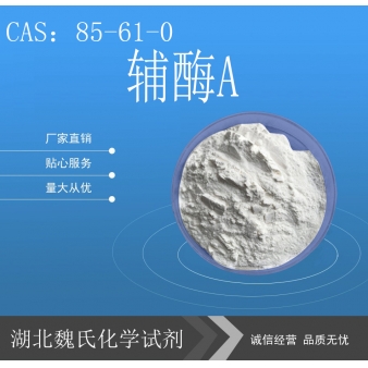 辅酶A—85-61-0