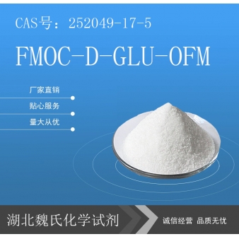 FMOC-D-GLU-OFM—252049-17-5