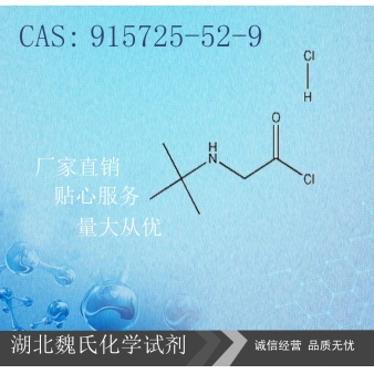 2-[(叔丁基)氨基]乙酰氯盐酸盐—915725-52-9