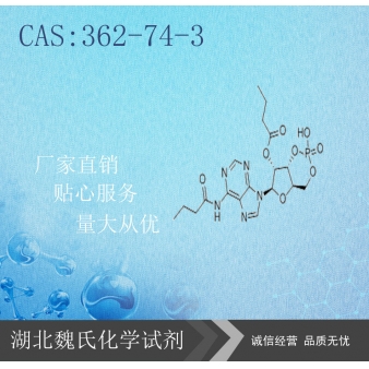 二丁酰环磷腺苷钙-362-74-3