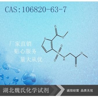 3-磺酰氨基乙酸甲酯-2-噻吩甲酸甲酯-106820-63-